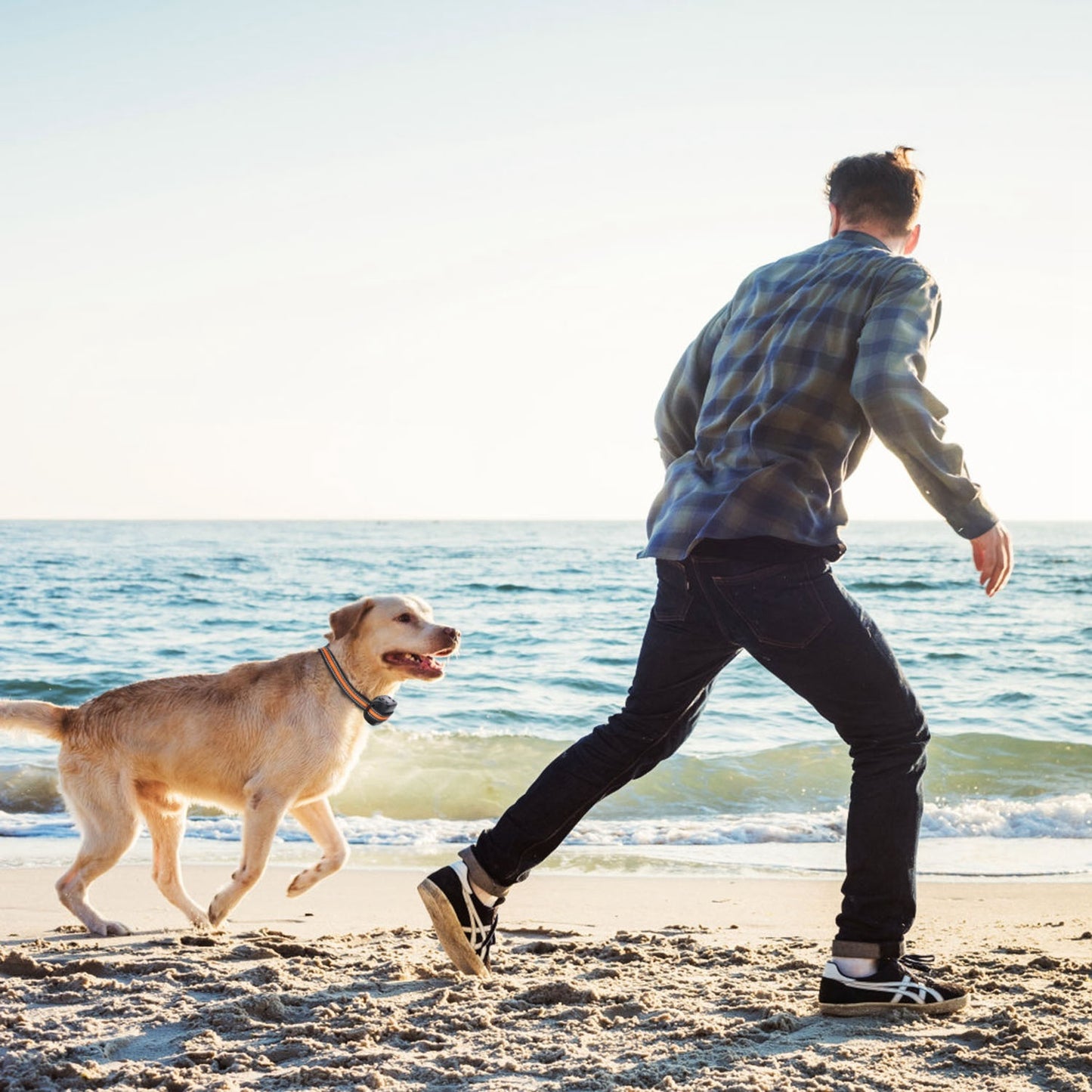 2-in-1-GPS-Hundezaun-Tracker, kabelloser GPS-Hundezaun, GPS-Hundehalsband mit 32-2887FT Radius, IPX6 wasserdicht, für kleine, mittlere und große Hunde